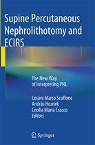 Cecilia Maria Cracco, Andrá Hoznek, Andras Hoznek, András Hoznek, Cecilia Maria Cracco, Cesare Marco Scoffone - Supine Percutaneous Nephrolithotomy and ECIRS