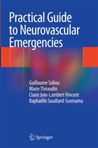 Join-Lambert Vin, Claire Join-Lambert Vincent, Guillaum SALIOU, Guillaume Saliou, Raphaelle Souillard-Scemama, Mari Theaudin... - Practical Guide to Neurovascular Emergencies