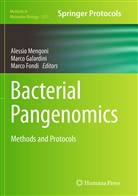 Marco Fondi, Marc Galardini, Marco Galardini, Alessio Mengoni - Bacterial Pangenomics