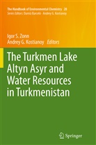 G Kostianoy, G Kostianoy, Andrey G. Kostianoy, Igo S Zonn, Igor S Zonn, Igor S. Zonn - The Handbook of Environmental Chemistry - 28: The Turkmen Lake Altyn Asyr and Water Resources in Turkmenistan