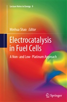 Minhu Shao, Minhua Shao - Electrocatalysis in Fuel Cells