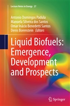 Sherrill Edwards, Omar Inácio Benedetti Santos, Denis Borenstein, Antonio Domingos Padula, Inácio Benedetti Sant, Manoel Silveira dos Santos... - Liquid Biofuels: Emergence, Development and Prospects