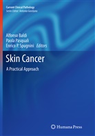 Alfonso Baldi, Enrico P Spugnini, Paol Pasquali, Paola Pasquali, Enrico P Spugnini, Enrico P. Spugnini - Skin Cancer