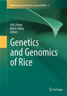 A Wing, A Wing, Rod A. Wing, Qif Zhang, Qifa Zhang - Genetics and Genomics of Rice
