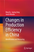 Junzo Watada, Bin Xu, Bing Xu, Juyin Zeng, Juying Zeng - Changes in Production Efficiency in China