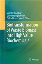 Satinder Kaur Brar, Gurpreet Singh Dhillon, Marcelo Fernandes, Carlos Ricardo Soccol, Gurpree Singh Dhillon, Gurpreet Singh Dhillon... - Biotransformation of Waste Biomass into High Value Biochemicals