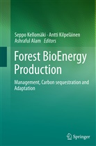 Ashraful Alam, Seppo Kellomaki, Seppo Kellomäki, Antti Kilpelainen, Antt Kilpeläinen, Antti Kilpeläinen - Forest BioEnergy Production