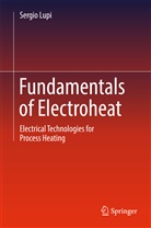 Sergio Lupi - Fundamentals of Electroheat