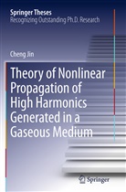 Cheng Jin - Theory of Nonlinear Propagation of High Harmonics Generated in a Gaseous Medium