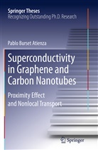 Pablo Burset Atienza - Superconductivity in Graphene and Carbon Nanotubes