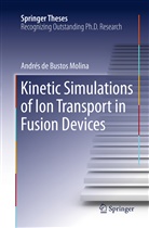 Andrés de Bustos Molina - Kinetic Simulations of Ion Transport in Fusion Devices