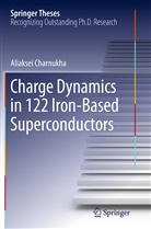 Aliaksei Charnukha - Charge Dynamics in 122 Iron-Based Superconductors