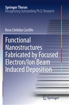 Rosa Córdoba Castillo - Functional Nanostructures Fabricated by Focused Electron/Ion Beam Induced Deposition