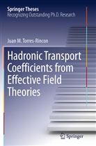Juan M Torres-Rincon, Juan M. Torres-Rincon - Hadronic Transport Coefficients from Effective Field Theories