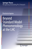 Priscila de Aquino - Beyond Standard Model Phenomenology at the LHC