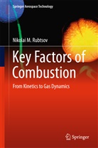 Nikolai M Rubtsov, Nikolai M. Rubtsov - Key Factors of Combustion