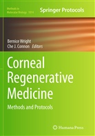 Che J Connon, Che J. Connon, J Connon, J Connon, Bernic Wright, Bernice Wright - Corneal Regenerative Medicine