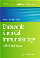 Nichola Zavazava, Nicholas Zavazava - Embryonic Stem Cell Immunobiology
