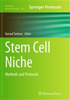 Kursa Turksen, Kursad Turksen - Stem Cell Niche