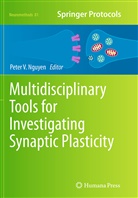 Peter Nguyen, Peter V. Nguyen, Pete V Nguyen, Peter V Nguyen - Multidisciplinary Tools for Investigating Synaptic Plasticity