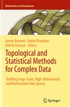 Janine Bennett, Valerio Pascucci, Fabie Vivodtzev, Fabien Vivodtzev - Topological and Statistical Methods for Complex Data