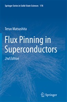 Teruo Matsushita - Flux Pinning in Superconductors