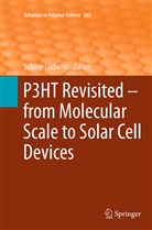 Sabin Ludwigs, Sabine Ludwigs - P3HT Revisited - From Molecular Scale to Solar Cell Devices