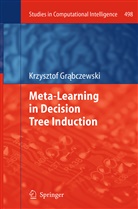 Krzysztof Grabczewski, Krzysztof Grąbczewski - Meta-Learning in Decision Tree Induction