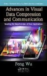 Feng Wu - Advances in Visual Data Compression and Communication