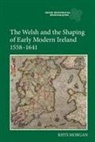 Rhys Morgan, Rhys (Royalty Account) Morgan, Morgan Rhys - The Welsh and the Shaping of Early Modern Ireland, 1558-1641