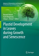 Basanti Biswal, Udaya C. Biswal, Udaya C Biswal, Kari Krupinska, Karin Krupinska - Plastid Development in Leaves during Growth and Senescence