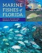 George H Burgess, George H. Burgess, George H. (Director Burgess, David B. Snyder, David B. Snyder, David B. (Senior Scientist Snyder... - Marine Fishes of Florida