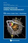 Gordon L Kane &amp; Piyush Ku Bobby Acharya, Bobby Acharya, Gordon Kane, Gordon L Kane, Gordon L. Kane, Piyush Kumar - Perspectives on String Phenomenology