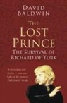 David Baldwin - The Lost Prince: Classic Histories Series
