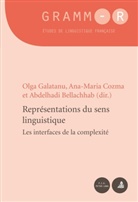 Abdelhadi Bellachhab, Ana-Mari Cozma, Ana-Maria Cozma, Ana-Maria Cozma u a, Olga Galatanu, Dan Van Raemdonck - Représentations du sens linguistique