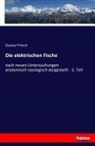 Gustav Fritsch - Die elektrischen Fische