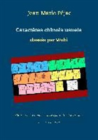 Jean Marie Pejac, Jean Marie Péjac - Caractères chinois usuels classés par WuBi
