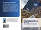 Tiefeng Peng - Comprehensive Utilization of Electrolytic Manganese Tailing Resources