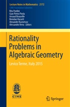 Arnau Beauville, Arnaud Beauville, Brenda Hassett, Brendan Hassett, Alex Kuznetsov, Alexander Kuznetsov... - Rationality Problems in Algebraic Geometry