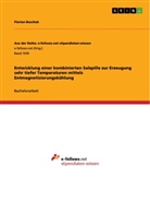 Florian Buschek - Entwicklung einer kombinierten Salzpille zur Erzeugung sehr tiefer Temperaturen mittels Entmagnetisierungskühlung