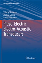 Larisa Kunickaya, Valeri Sharapov, Valeriy Sharapov, Zhann Sotula, Zhanna Sotula - Piezo-Electric Electro-Acoustic Transducers