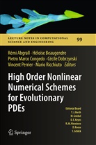 Remi Abgrall, Rémi Abgrall, Héloïs Beaugendre, Heloise Beaugendre, Héloïse Beaugendre, Pietro Marco Congedo... - High Order Nonlinear Numerical Schemes for Evolutionary PDEs
