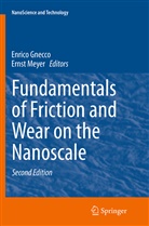Enric Gnecco, Enrico Gnecco, MEYER, Meyer, Ernst Meyer - Fundamentals of Friction and Wear on the Nanoscale