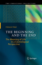 Clement Vidal, Clément Vidal - The Beginning and the End