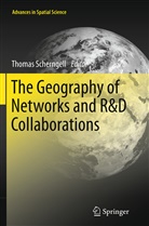 Thoma Scherngell, Thomas Scherngell - The Geography of Networks and R&D Collaborations