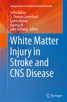 Selva Baltan, S. Thomas Carmichael, Carlos Matute, Carlos Matute et al, Thomas Carmichael, S Thomas Carmichael... - White Matter Injury in Stroke and CNS Disease
