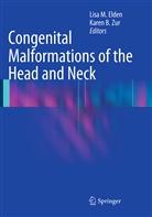 B Zur, B Zur, Lisa M. Elden, Lis M Elden, Lisa M Elden, Karen B. Zur - Congenital Malformations of the Head and Neck