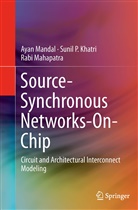 Sunil Khatri, Sunil P Khatri, Sunil P. Khatri, Rabi Mahapatra, Aya Mandal, Ayan Mandal - Source-Synchronous Networks-On-Chip