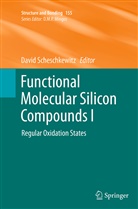 Davi Scheschkewitz, David Scheschkewitz - Functional Molecular Silicon Compounds I