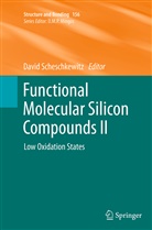 Davi Scheschkewitz, David Scheschkewitz - Functional Molecular Silicon Compounds II